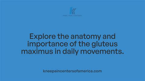 Best Exercise for Gluteus Maximus