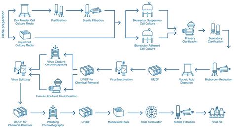 Virus Purification Process 的图像结果