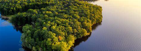 IUFRO - 6th International Workshop on the Genetics of Tree-Parasite ...