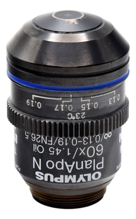 Olympus Scopes 的图像结果