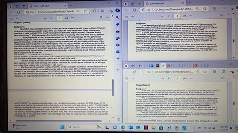 How to Write a Lab Report Introduction 的图像结果