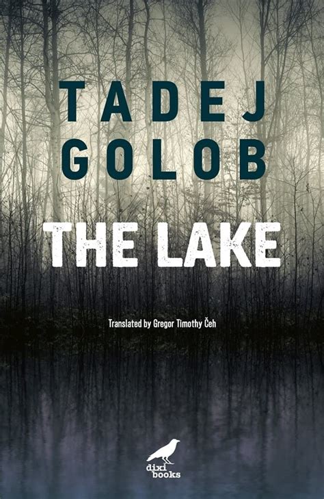The Lake : Golob, Tadej, Ceh, Gregor Timothy: Amazon.in: Books
