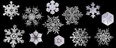 Image result for Snowflake Query Profile
