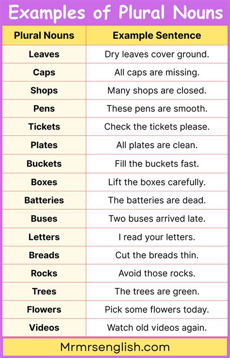 Plural Nouns Examples Sentences in English with Pictures - MR MRS ENGLISH