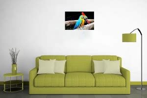 Colorful Parrot Bird Sticker Poster|Nature Poster|Scarlet macaw ...