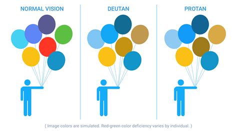 Image result for Color Vision