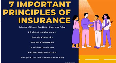 Image result for Explain Three Principles of Insurance