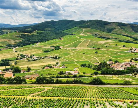 MUSEO DEL GAUCHO Y LA MONEDA (2025) All You Need to Know BEFORE You Go ...