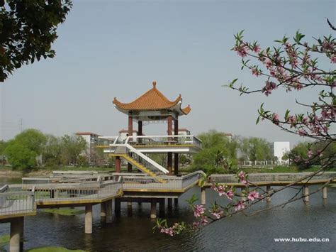 湖北大学_双一流建设学科_高考志愿网