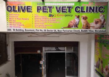 3 Best Veterinary Hospitals in Moradabad, UP - ThreeBestRated