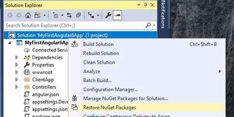 Image result for .Net Core and Angular Tutorial with Project