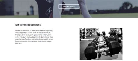 Image result for Add Image and Text in HTML and CSS