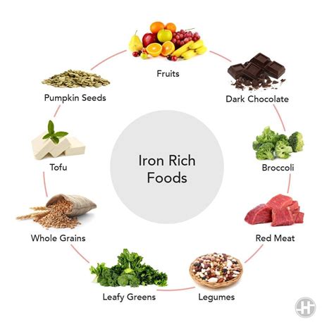 Iron Wealthy Meals - 8 Meals to Add to Your Eating regimen - Doctor Woao