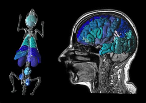 Image result for Pmod Software