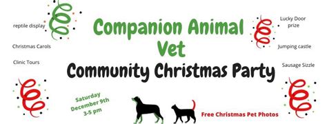 Christmas in the carpark, Companion Animal Veterinary Hospital, Dapto ...