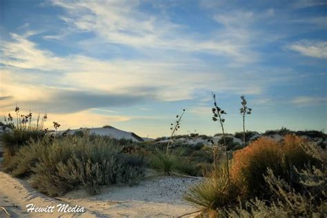 Desert Parks Road Trip - Wanderlust Travel and Photos Blog