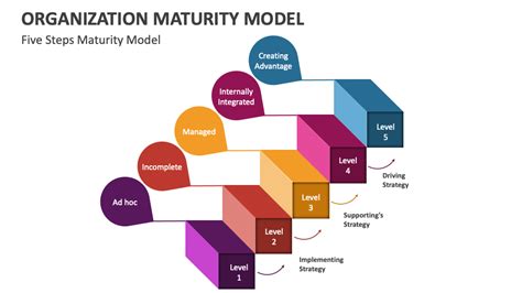 Image result for Maturity Model Examples
