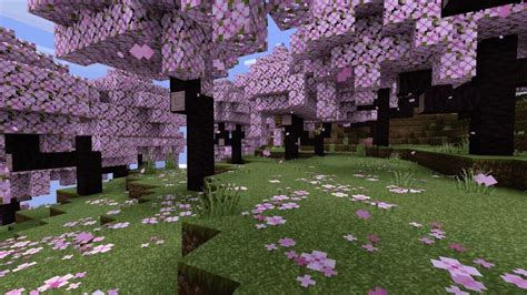 Image result for Craftman 5 Tools