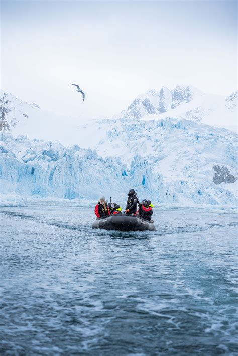 Flowers in Antarctica: An Ever Changing Ecosystem