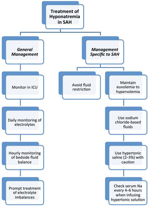 Hyponatremia Algorithm 的图像结果