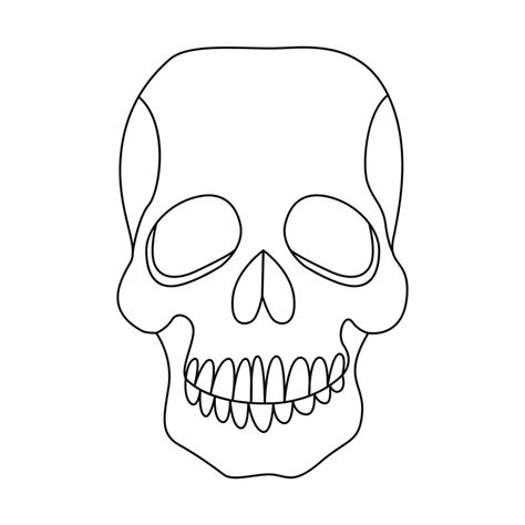 Crânio humano única linha arte esboço vetor ilustração | Vetor Premium
