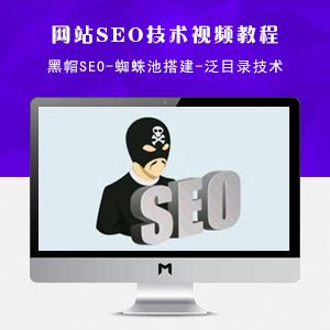 搜狗seo蜘蛛池（搜索引擎多久收录网站） - 赶海号