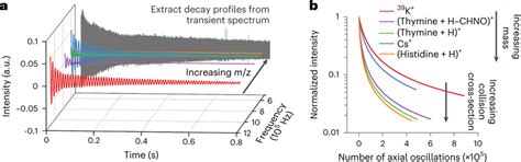 Image result for Orbitrap Block Diagram