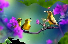 Image result for Birds in Flowers
