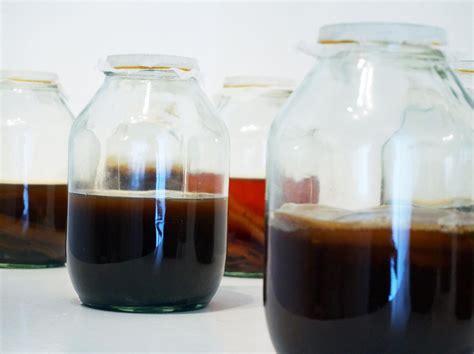 The Art of Fermentation - The Learned Pig