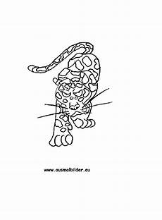ausmalbilder jaguar ausdrucken ausmalbilder jaguar ausdrucken ausmalbilder ausmalbilder jaguar ausdrucken ausmalbilder jaguar ausdrucken ausmalbilder