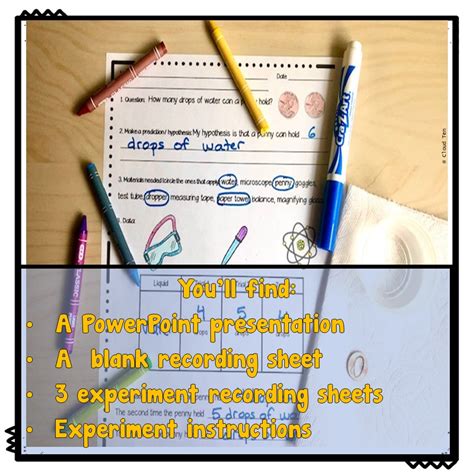 First Grade Science 的图像结果