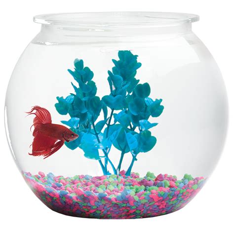 Buy Koller Products Fish Bowl 1-Gallon Bubble-Shape Online at Lowest ...