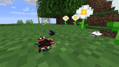 Image result for Zawa Mod Minecraft