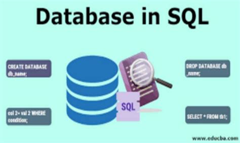 Image result for Expert SQL