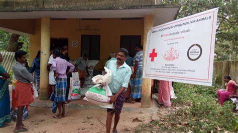 World Animal Protection assisting animal recovery in Kerala