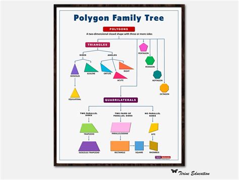 Buy Polygon Family Tree Poster, Maths Poster, Elementary, Primary ...
