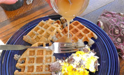 Image result for Box Elder Tree Syrup