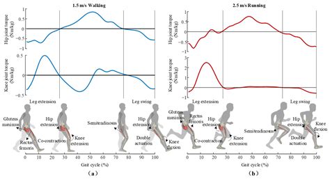 Sensors Free Full-Text Modulating Multiarticular Energy During Human ...