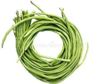 zabbus Cowpea Beans Vegetable Seeds for Summer Season Seed Price in ...