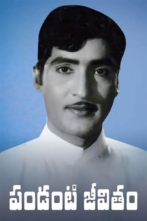 Popular Movies 1980 - List of Movies Released in 1980