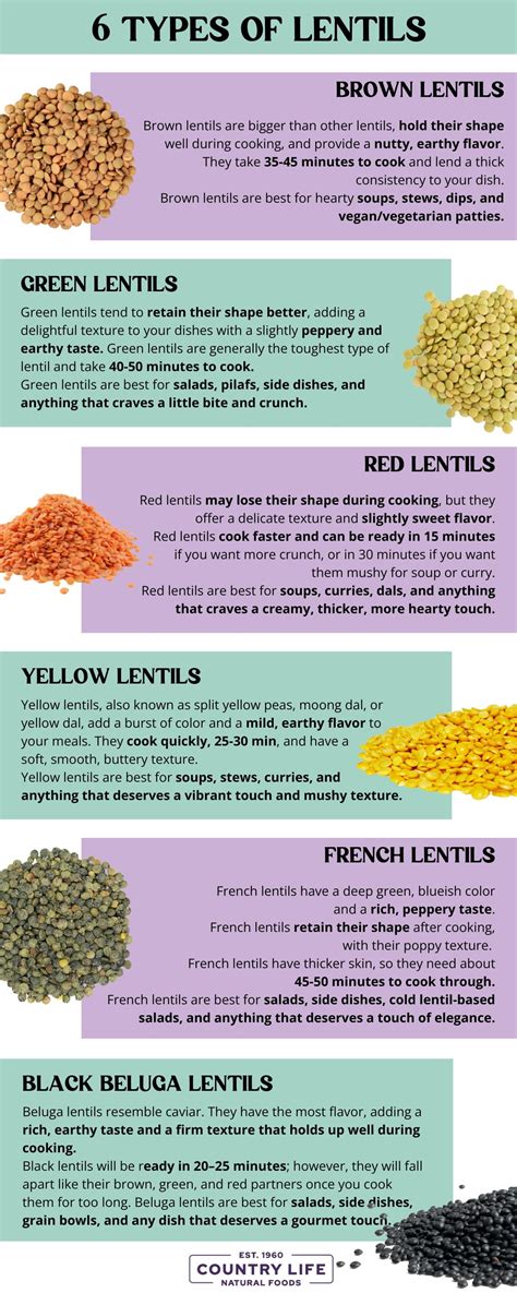 Exploring 6 Types Of Lentils - Their Differences And How To Use Them ...