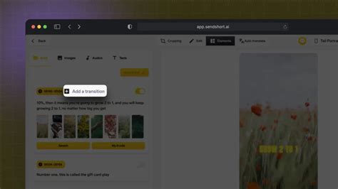Shortcut Adding Transitions 的图像结果