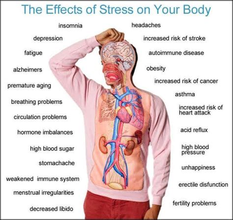 Image result for Brain Decimation