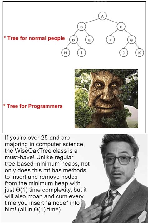 Data Structures and Algorithms Meme 的图像结果