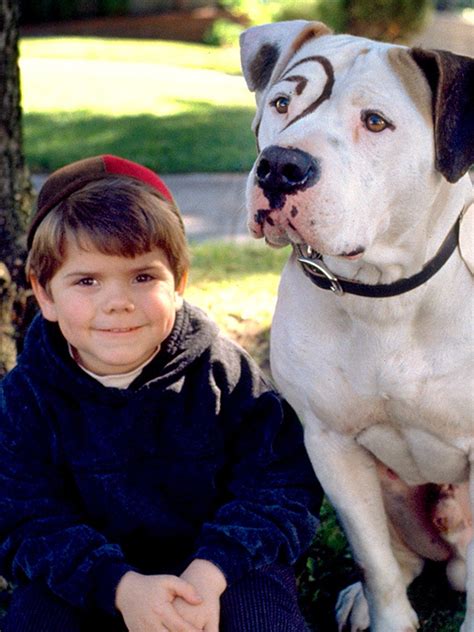 The Little Rascals Petey