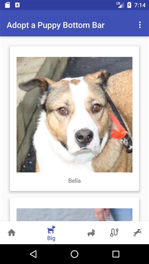 Add Bottom Navigation in Android Studio 的图像结果