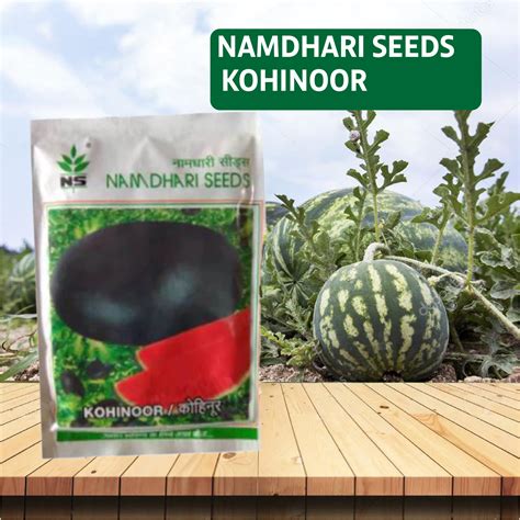 Namdhari Kohinoor Watermelon Seeds - 50GM – Agriplex