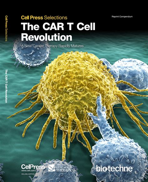 Cell Selections 2018: The CAR T Cell Revolution