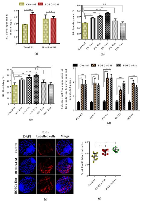 Bovine Oviduct Epithelial Cell-Derived Culture Media and Exosomes ...