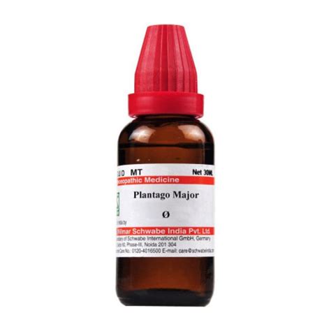 Dr. Willmar Schwabe Plantago Major Ø Drops 30 ml - Multimedicos